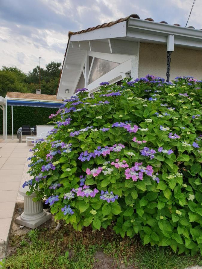 Plaisirs De Lege Villa Екстериор снимка